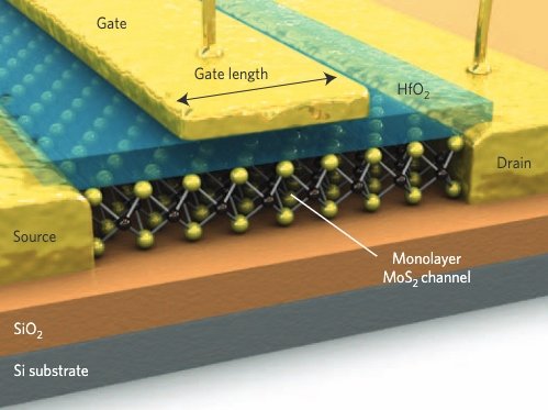 Section of a FET based on a monolayer MoS2 channel