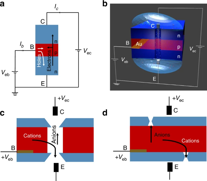 Example of an ionic bipolar junction transistor.