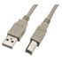 10U2-02203,USB Cables,USB A Male To USB B Male 2.0 Cable Beige 3 Feet