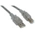 10U2-02206-C,USB Cables,USB A Male To USB B Male 2.0 Cable Clear 6 Feet